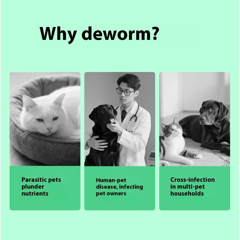 Pet Itching Relief Health Care Product