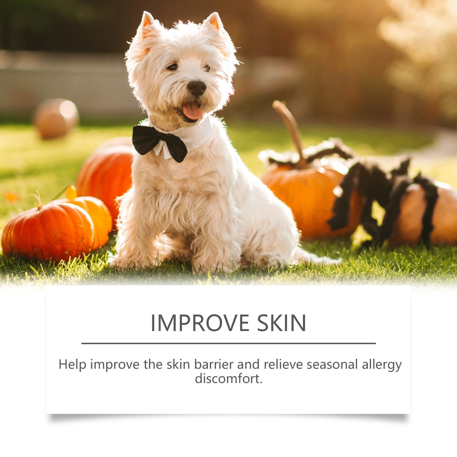 Allergy Relief Immune Chews For Dogs